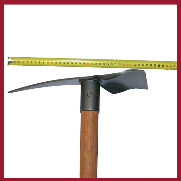 CC Pick - Prospector